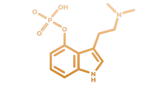 Psilocybine voor therapie