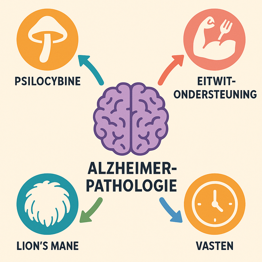 https://psychedelic-therapy.nl/wp-content/uploads/2025/05/Alzheimer-en-psilocybine-lions-mane-vasten.png